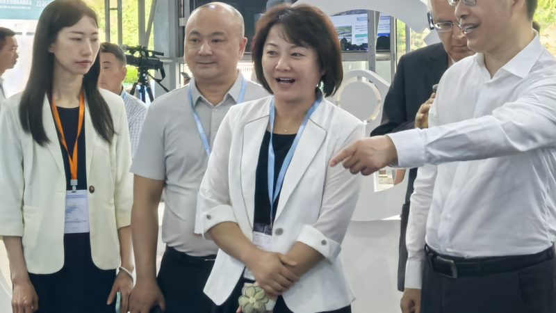轴承批发价格哪家便宜？揭秘轴承价格背后的秘密